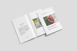Magazine Mockup