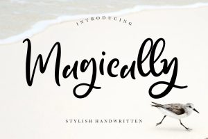 Magically Stylish Business Font