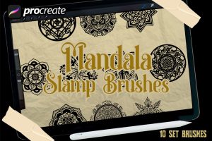 Mandala stamp brush