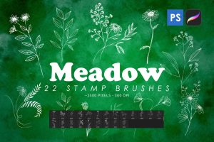 Meadow Stamp Brushes