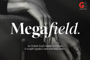 Megafield Font Family