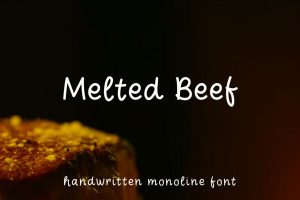 Melted Beef – Handwritten Monoline Font