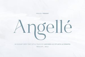 Minimalist Display Serif Font for Clean and Modern