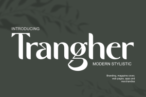 Modern Font