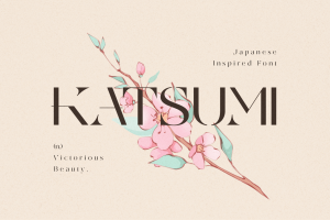 Modern Japanese Font