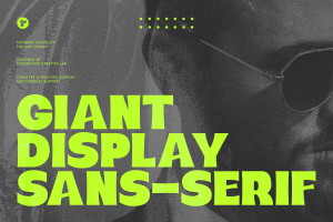 Modern Logo Branding Font – Giant Display