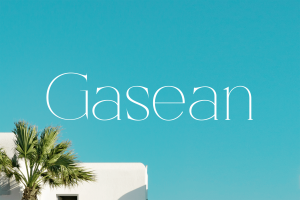 Modern Thin Serif Display Font