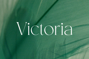 Modern Thin Serif Fashion Font