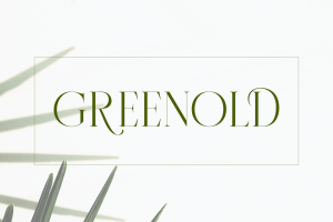 Modern Thin Serif Font