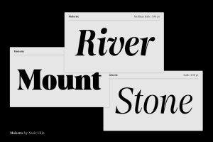 Moisette – 14 Fonts