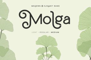 Molga font