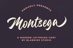 Montsega a Modern Lettering Font