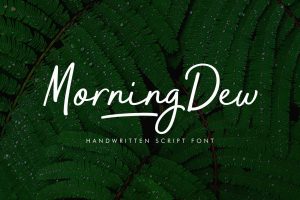 MorningDew