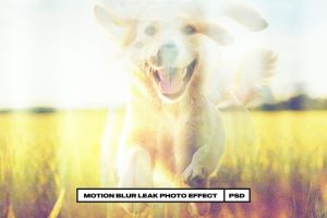Motion Blur Leak Photo Effect