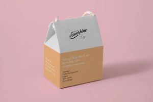 Multi Purpose Box Mock Up