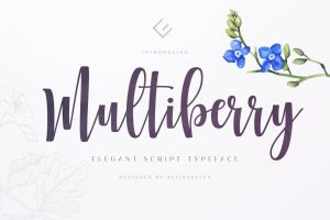 Multiberry – Script Font