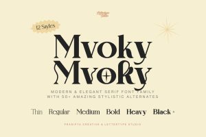 Mvoky Modern & Elegant Serif Family