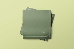 Napkin Mockup