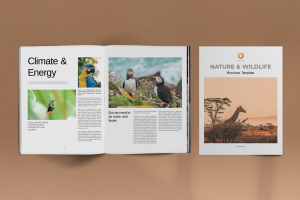 Nature and Wildlife Brochure Layout