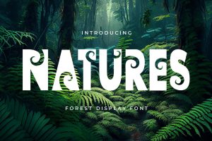 Natures – Decorative Display Font