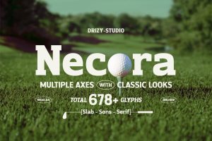 Necora – Multiple Axes Classic Font
