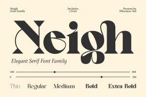 Neigh – Modern Luxury Logo Font