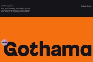 Neue Gothama – Variable Geometric Roman & Oblique