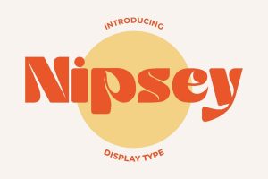 Nipsey – Display Font