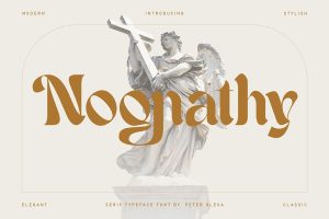 Nognathy – Artistic Serif Font