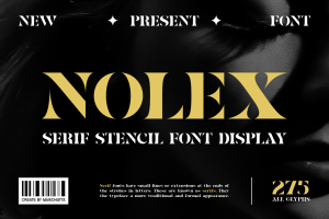 Nolex – Serif Stencil Font Display