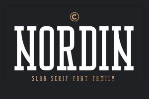 Nordin Slab – Condensed Slab Serif Font