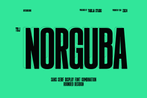 Norguba – Versatile Display Sans Serif Font