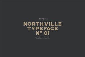 Northville 01