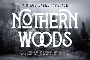 Nothern Woods Vintage Label Font