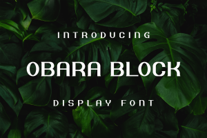 Obara Block Font