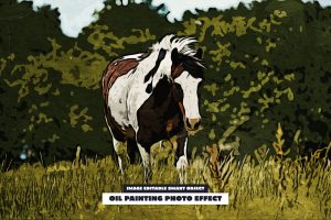 Oil Painting Photo Effect