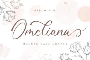 Omeliana – Wedding Font
