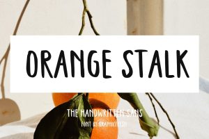 Orange Stalk – Handwritten Sans Font