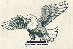 Overprint Photo Effect