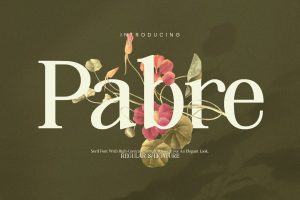 Pabre – Luxury Branding Font
