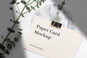 Paper Card Mockup