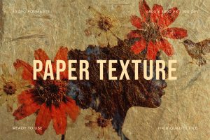 Paper Textures #12