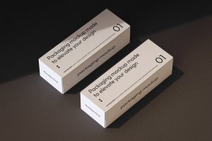 Paralel Packaging Mockup