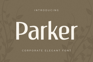 Parker – Corporate Elegant Font