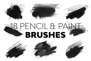 Pencil & Paint Brushes