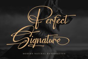 Perfect Signature