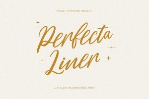 Perfecta Liner – Handwritten Script