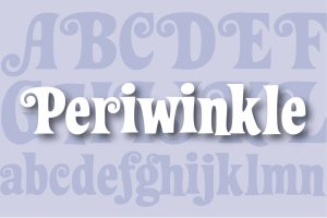 Periwinkle