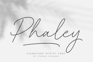Phaley Script Font