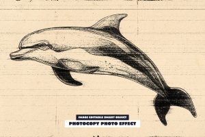 Photocopy Photo Effect